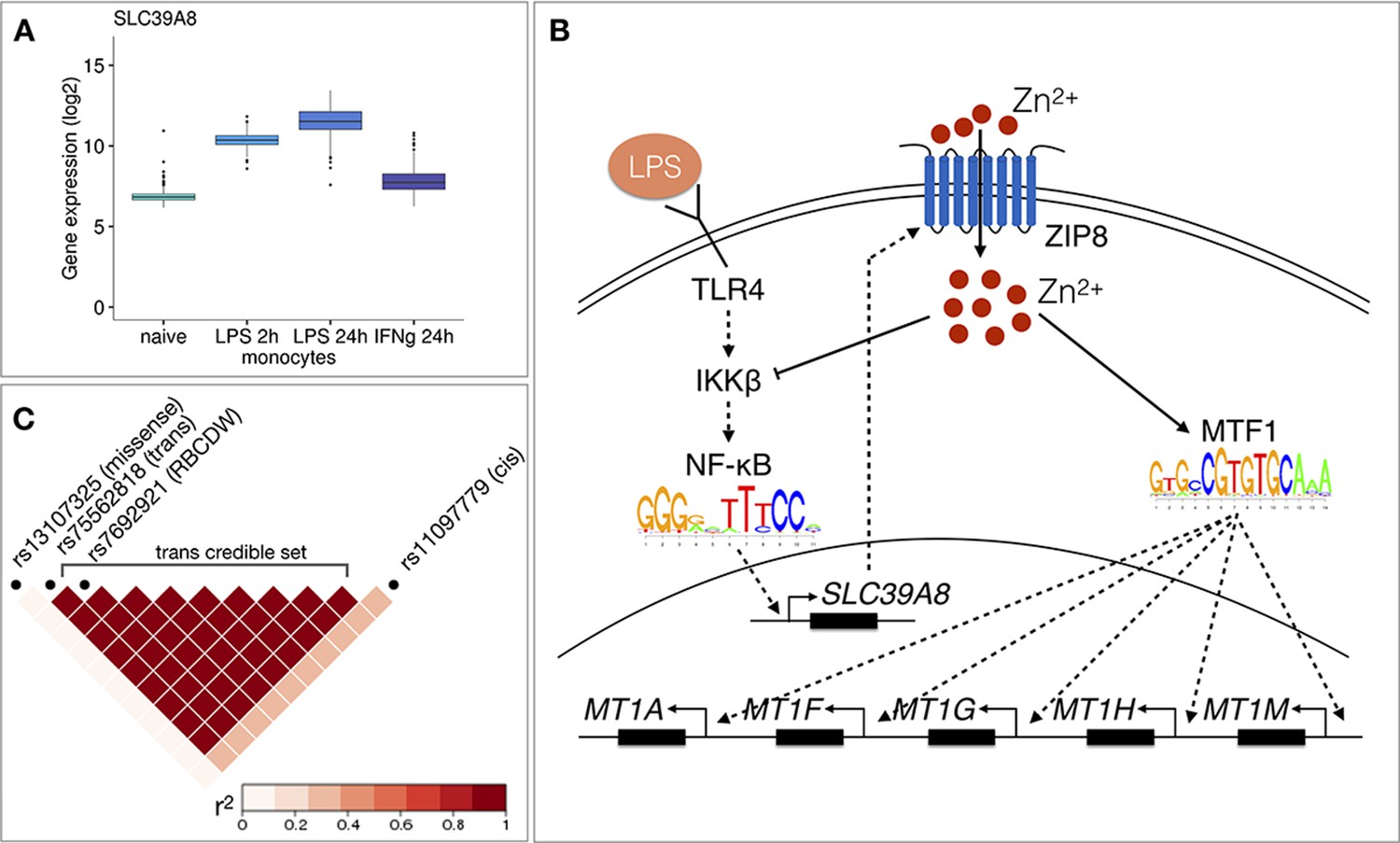 Co Expression Analysis Reveals Interpretable Gene Modules Controlled By