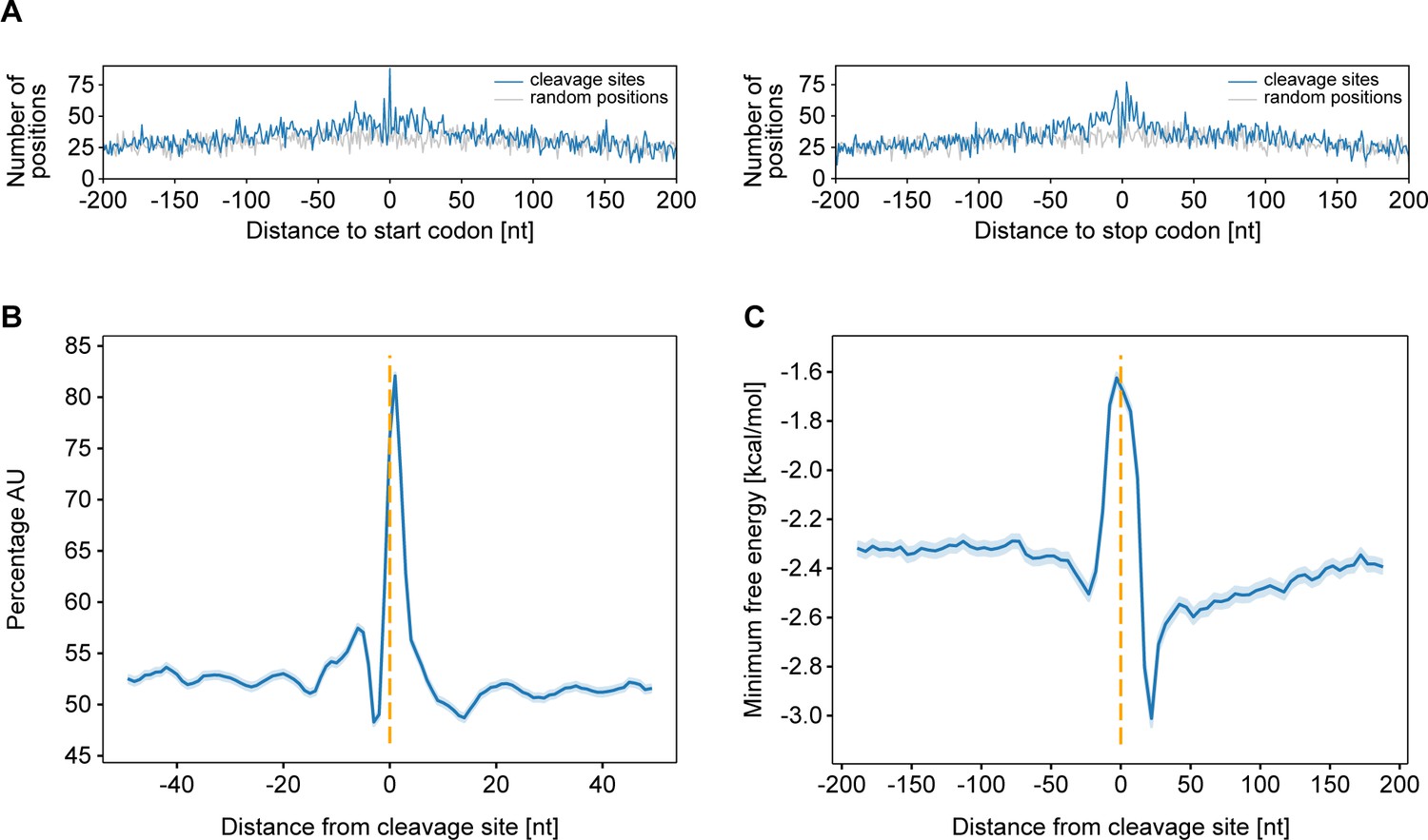 Figures and data in Gene autoregulation by 3’ UTR-derived bacterial ...