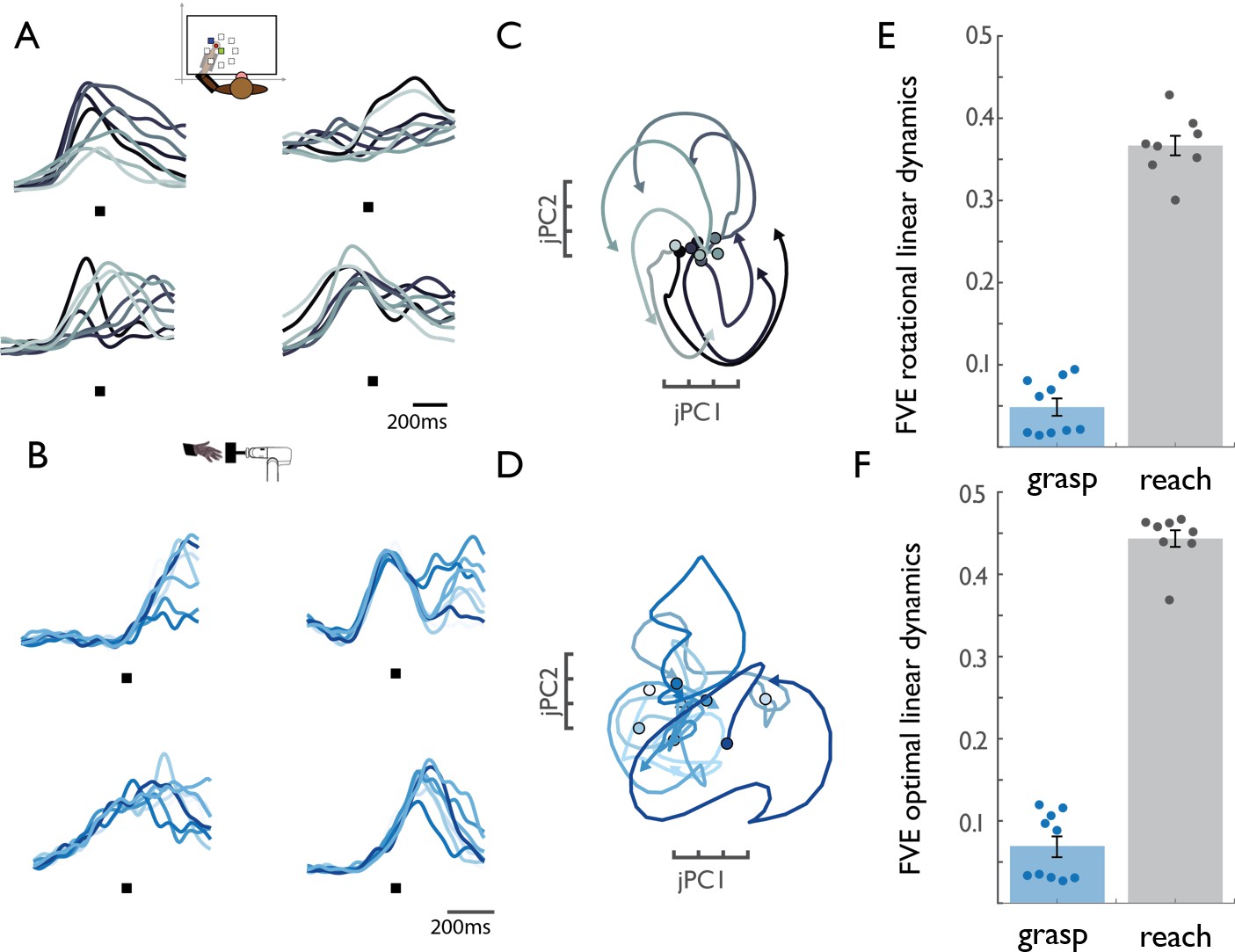 Neural dynamics
