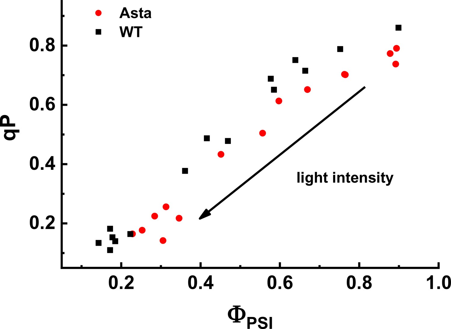 Figures And Data In Photosynthesis Without β-carotene | ELife