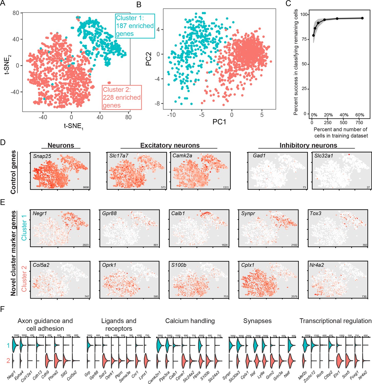 Extensive And Spatially Variable Within-cell-type Heterogeneity Across ...