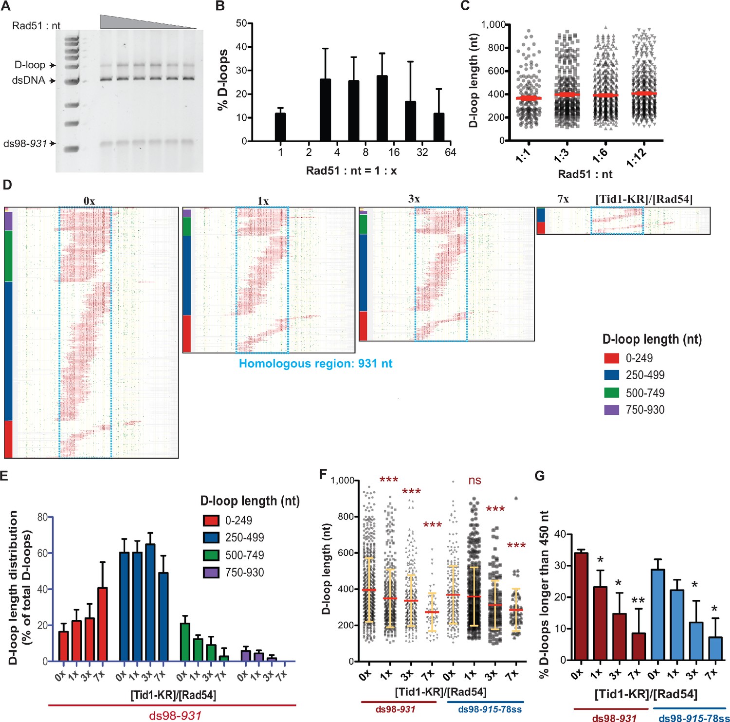 Rdh54/Tid1 inhibits Rad51-Rad54-mediated D-loop formation Rdh54/Tid1 inhibits Rad51-Rad54-mediated D-loop formation