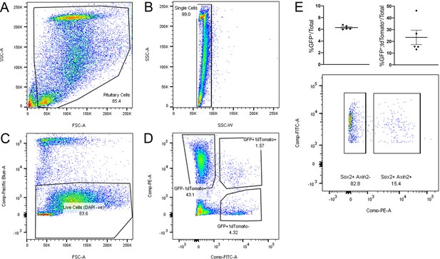 Figures and data in Pituitary stem cells produce paracrine WNT signals ...