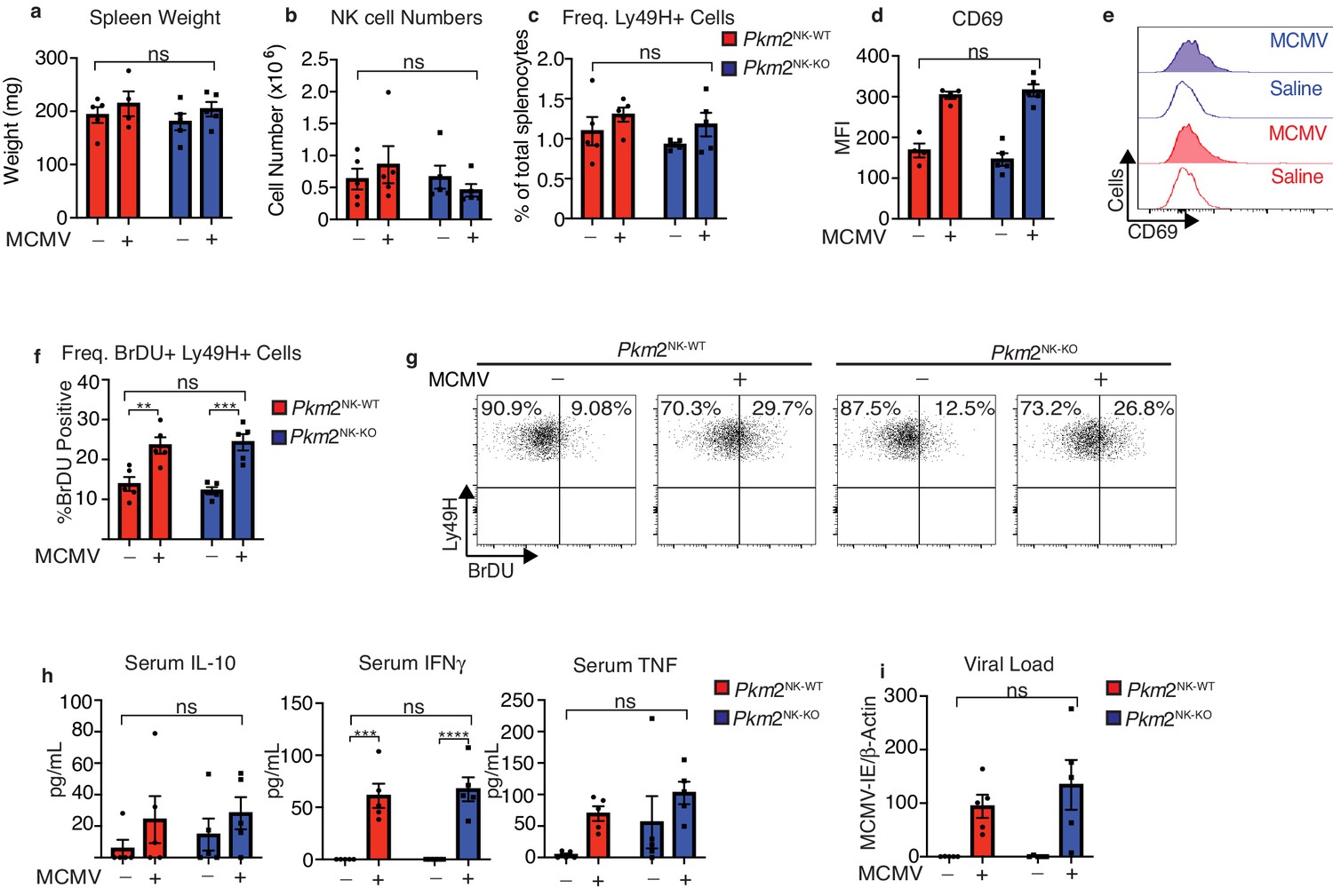 Metabolic but not transcriptional regulation by PKM2 is important for ...