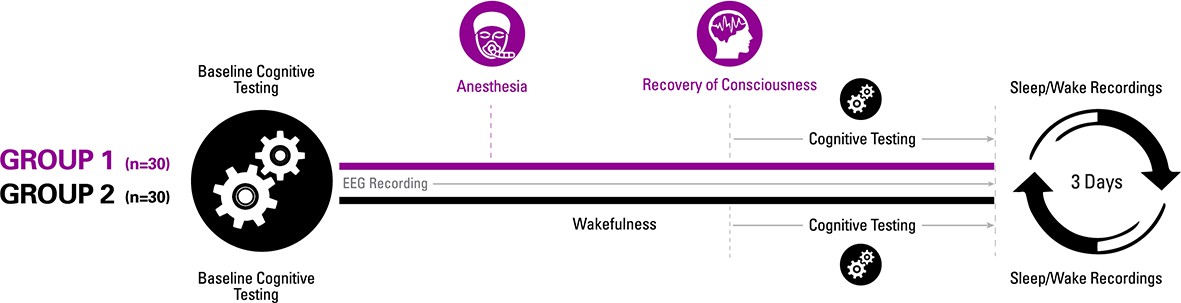 Recovery Of Consciousness And Cognition After General Anesthesia In Humans Elife