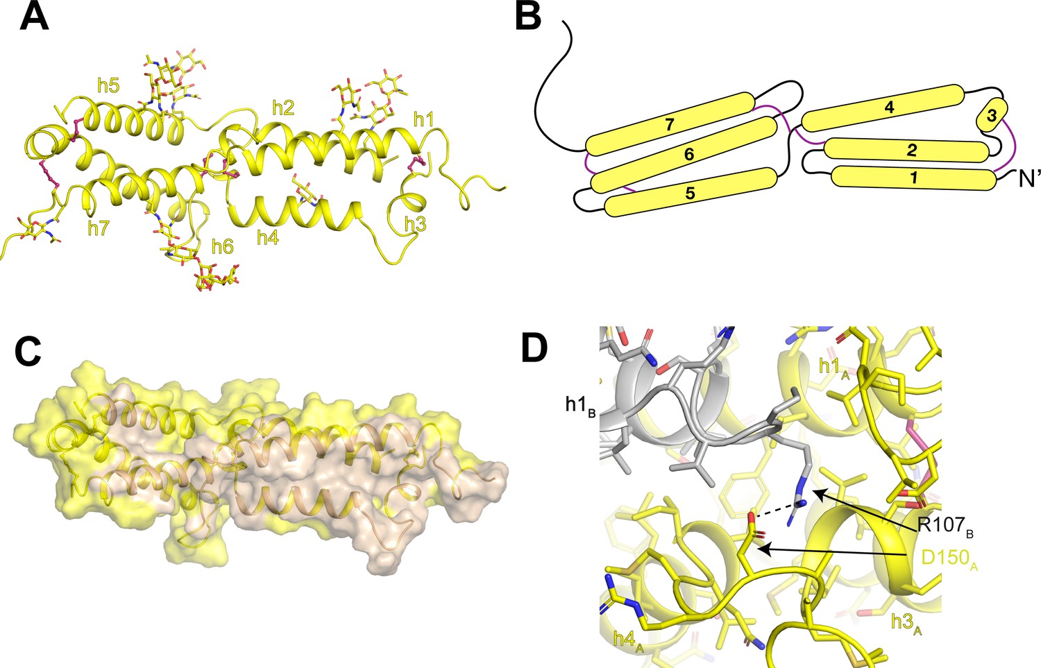 Figures and data in Cryo-EM structure of the lysosomal chloride-proton ...