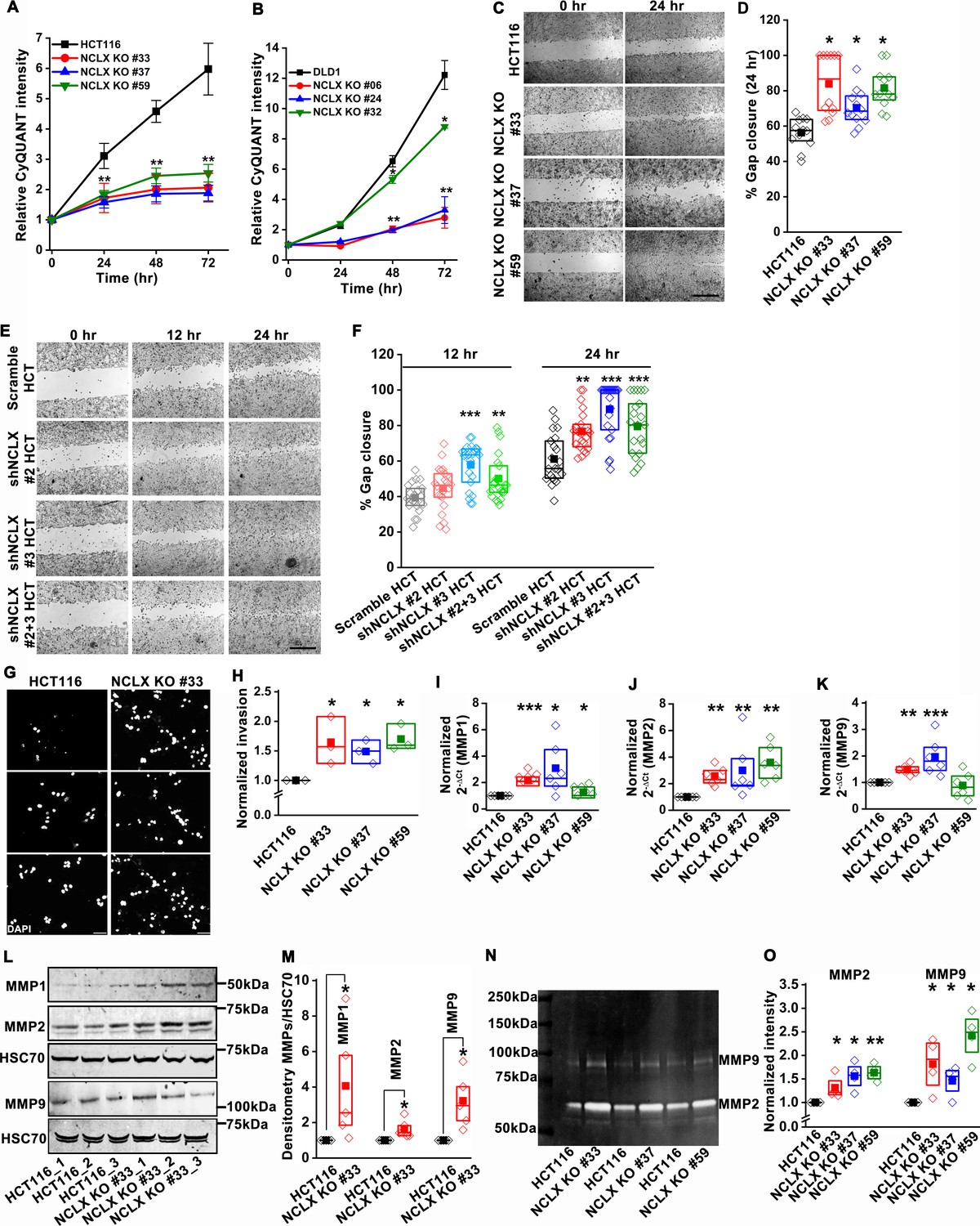 Dichotomous role of the human mitochondrial Na+/Ca2+/Li+ exchanger NCLX ...