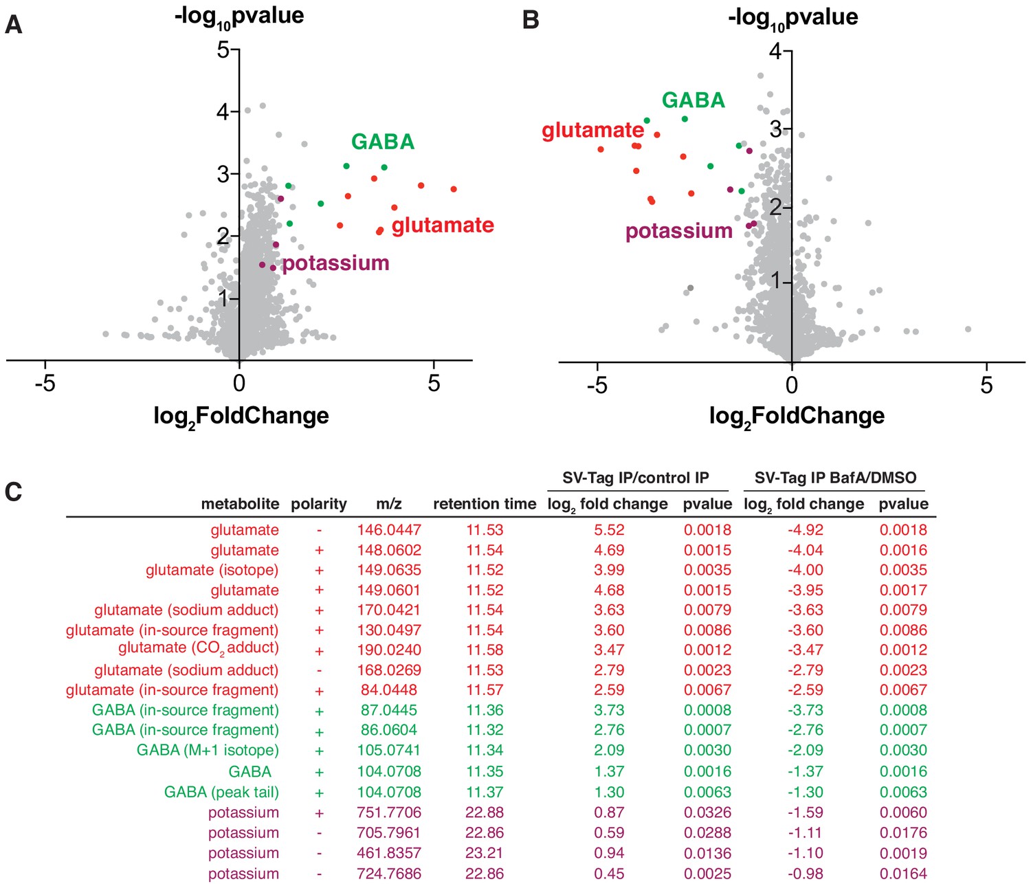 Rapid Purification And Metabolomic Profiling Of Synaptic Vesicles From ...