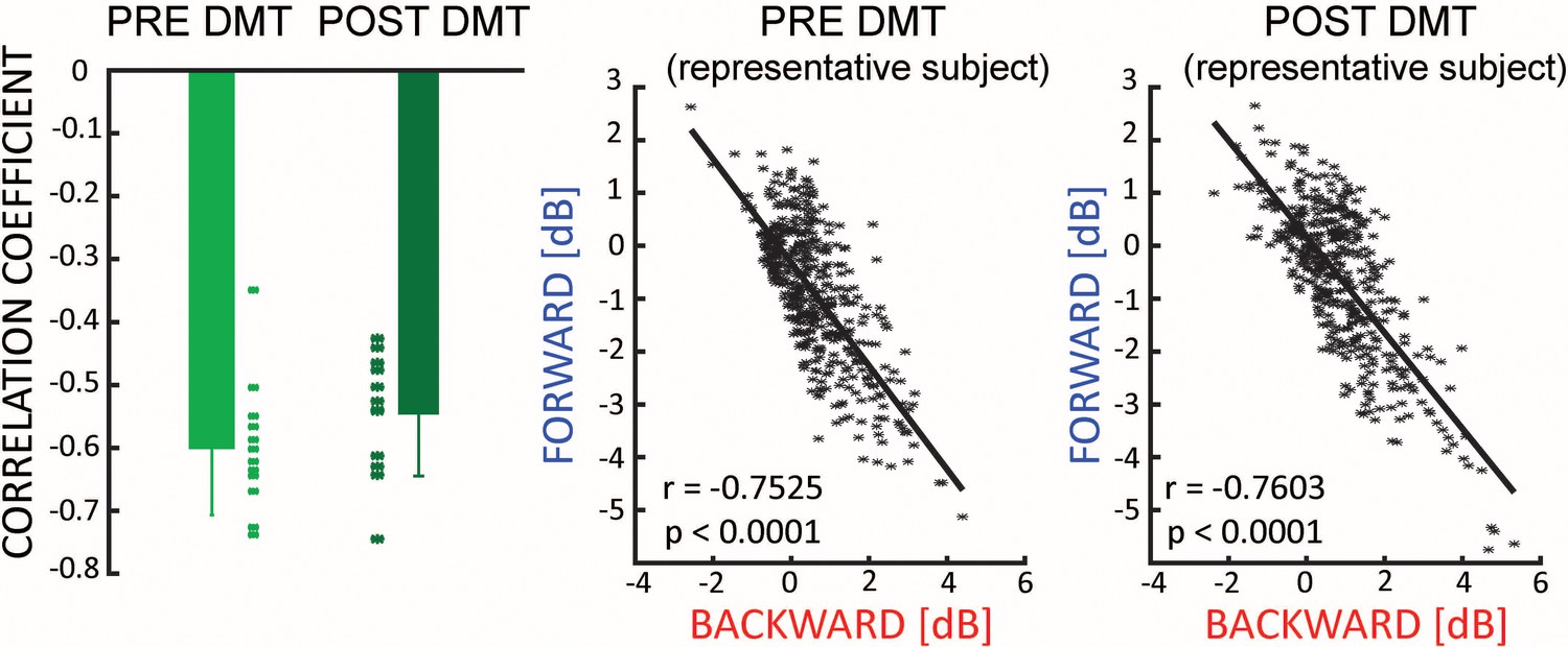 DMT alters cortical travelling waves eLife