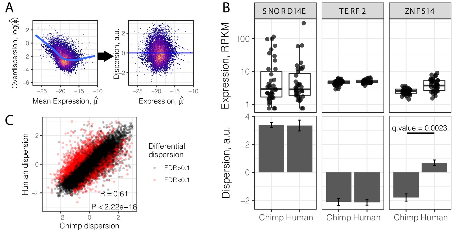 Gene Expression Variability In Human And Chimpanzee Populations Share Common Determinants Elife