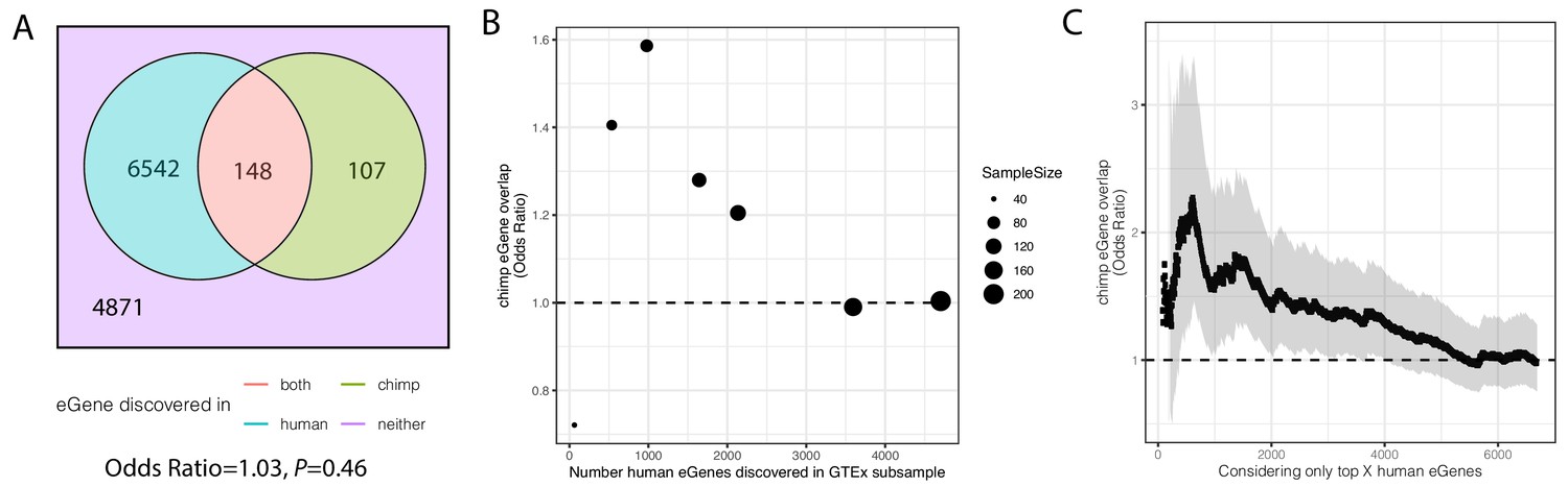 Gene expression variability in human and chimpanzee populations ...