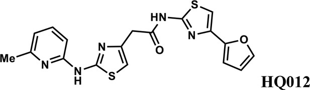 Discovery of a molecular glue promoting CDK12-DDB1 interaction to ...