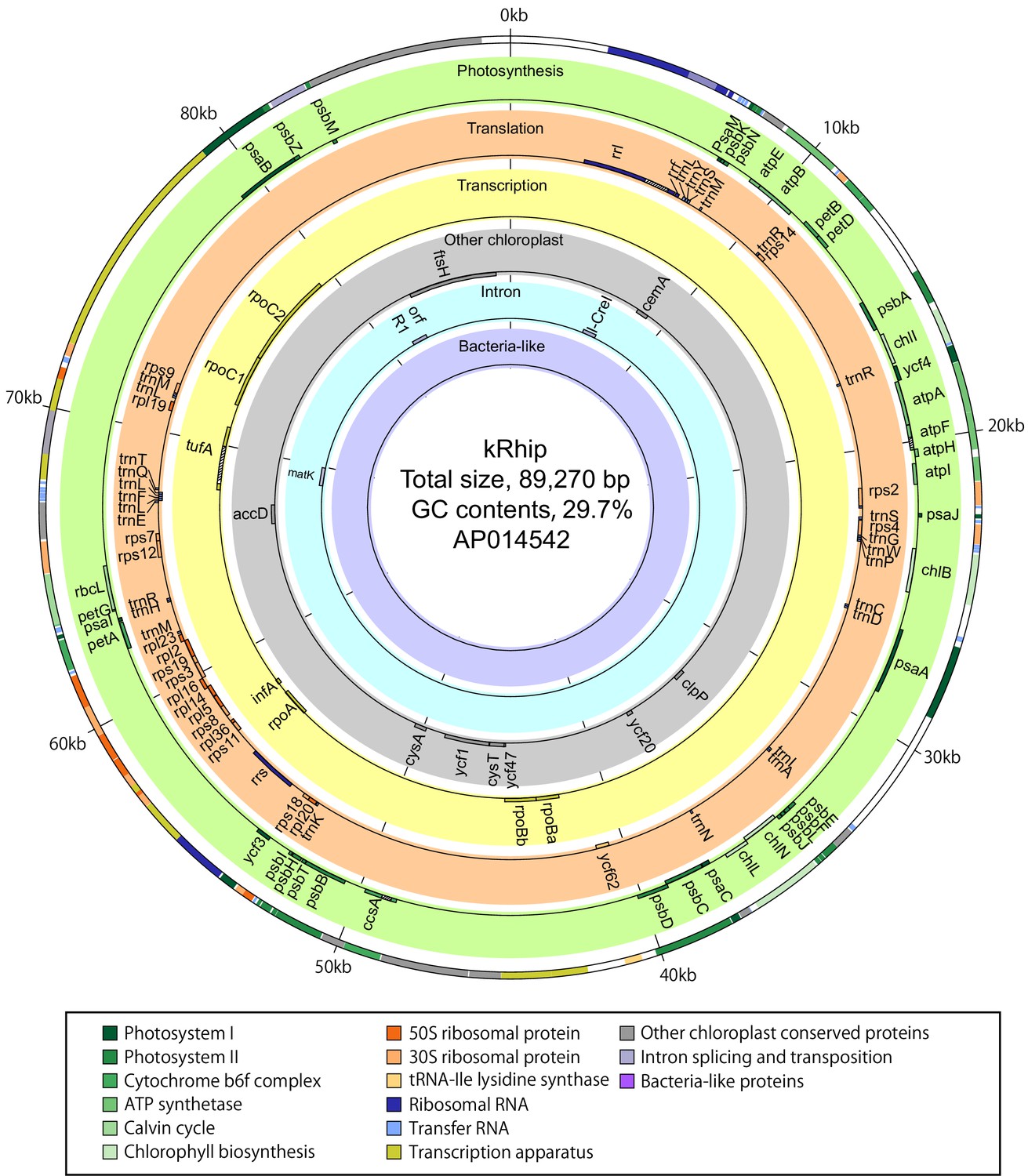 Figures And Data In Chloroplast Acquisition Without The Gene Transfer 