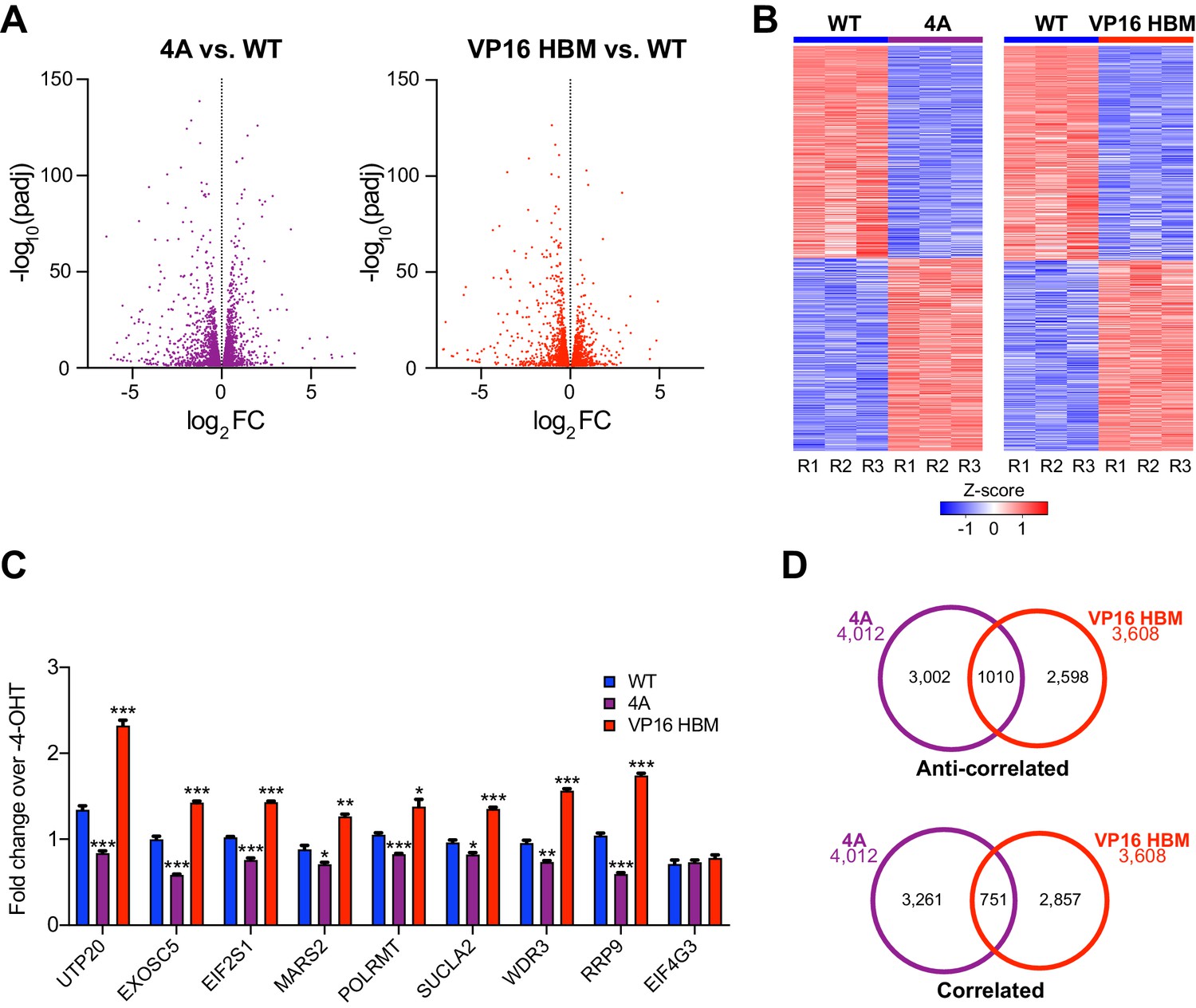 Figures And Data In Myc Regulates Ribosome Biogenesis And Mitochondrial 