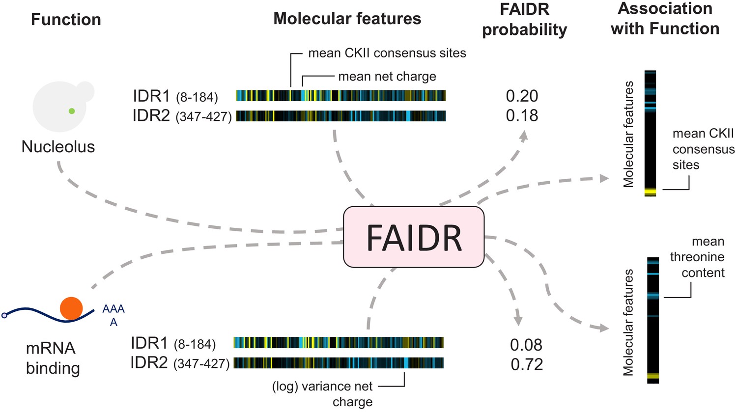 Figures And Data In Identifying Molecular Features That Are Associated