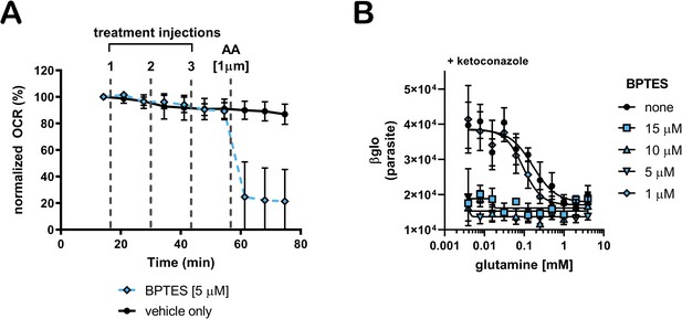 Figures and data in Glutamine metabolism modulates azole susceptibility ...