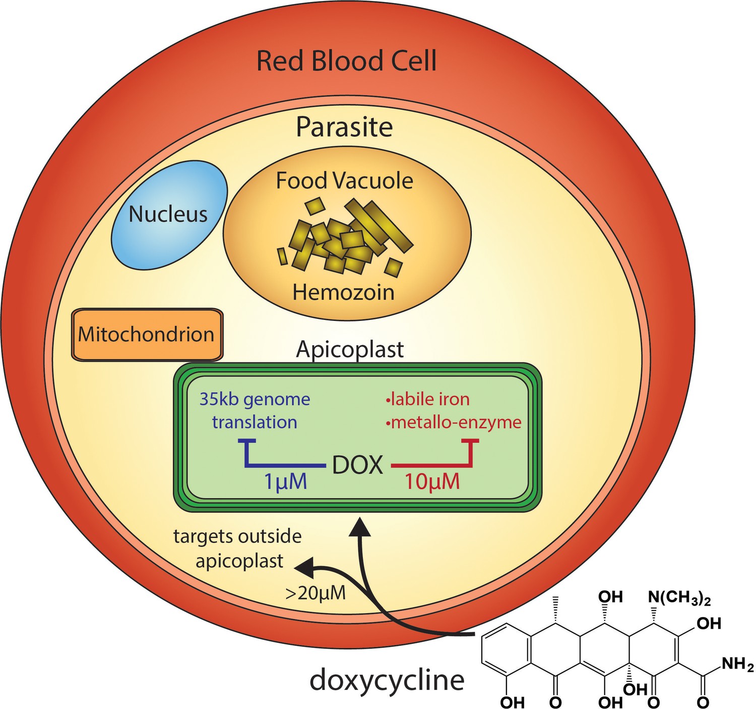 Malariaprophylaxe doxycyclin preis