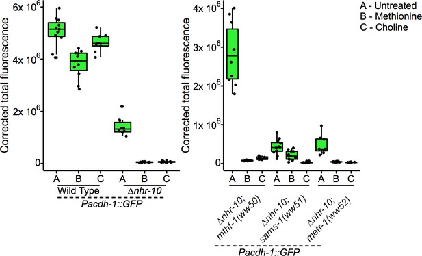 Figures And Data In Caenorhabditis Elegans Methionine/S ...