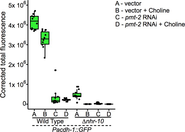 Figures And Data In Caenorhabditis Elegans Methionine/S ...