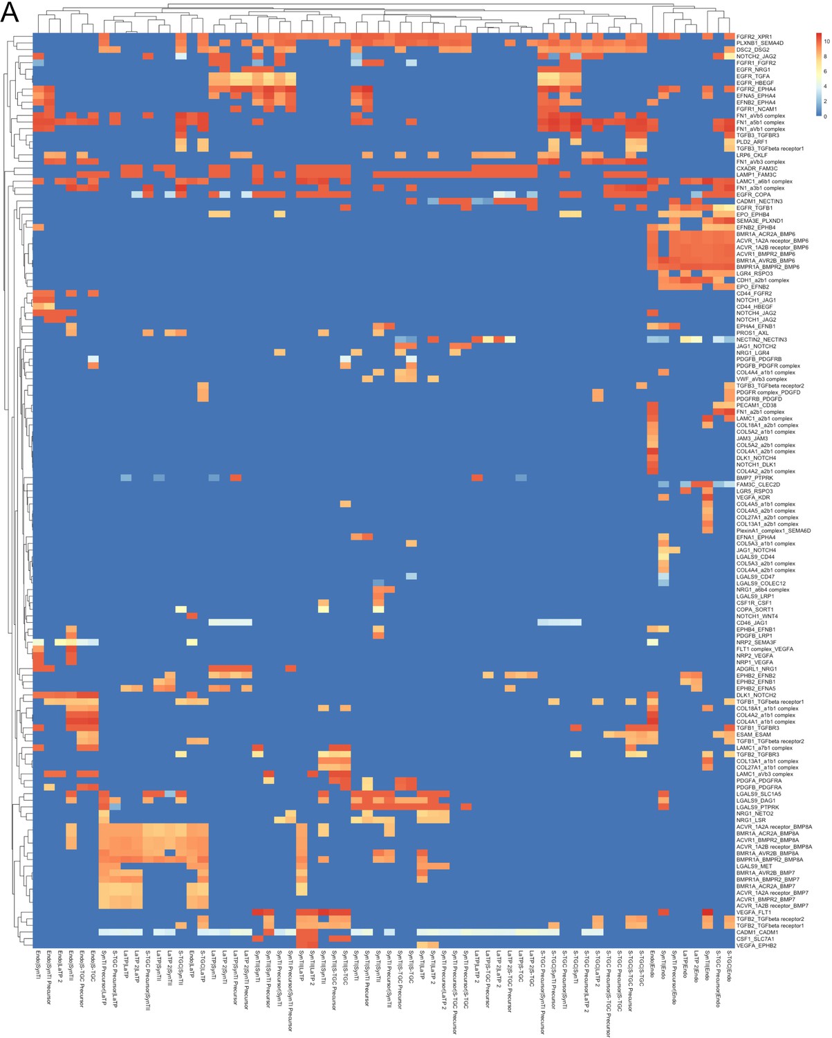 Figures and data in Single nuclei RNA-seq of mouse placental labyrinth ...