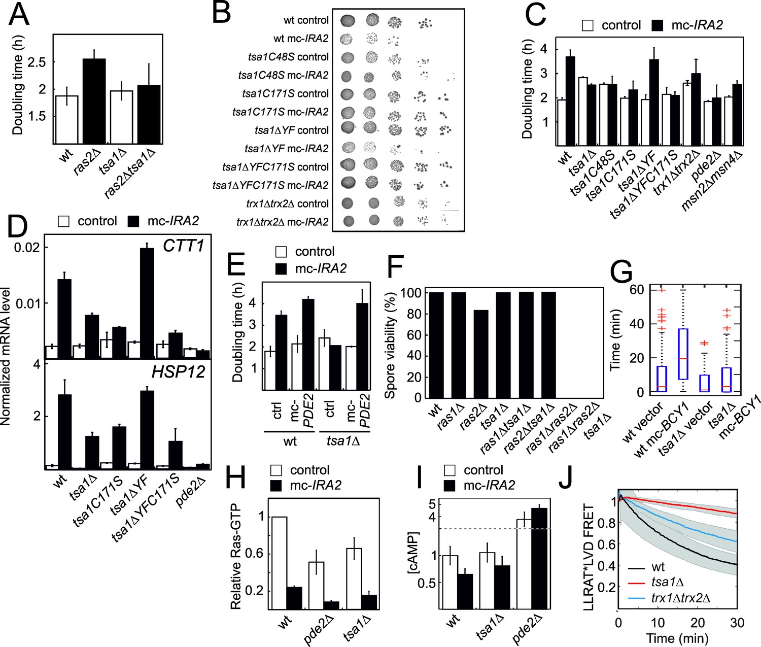 Peroxiredoxin promotes longevity and H2O2-resistance in yeast through ...