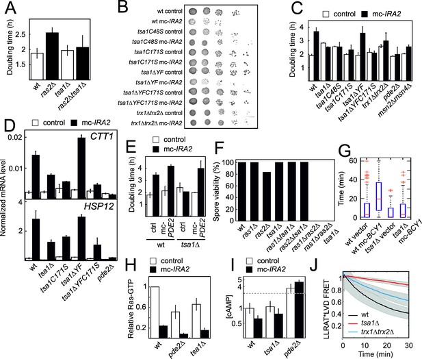 Peroxiredoxin Promotes Longevity And H2o2-resistance In Yeast Through 