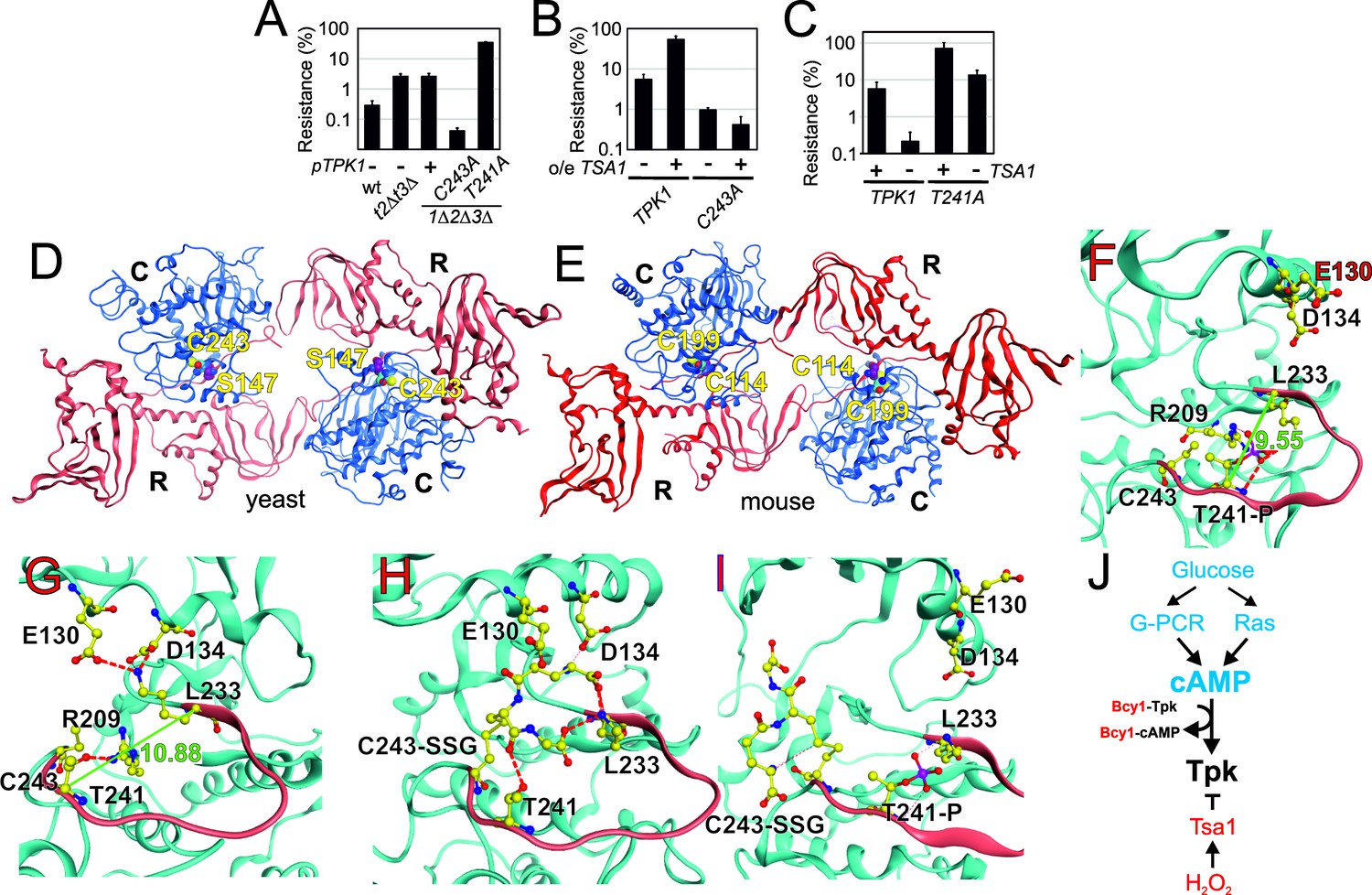 Figures and data in Peroxiredoxin promotes longevity and H2O2 ...