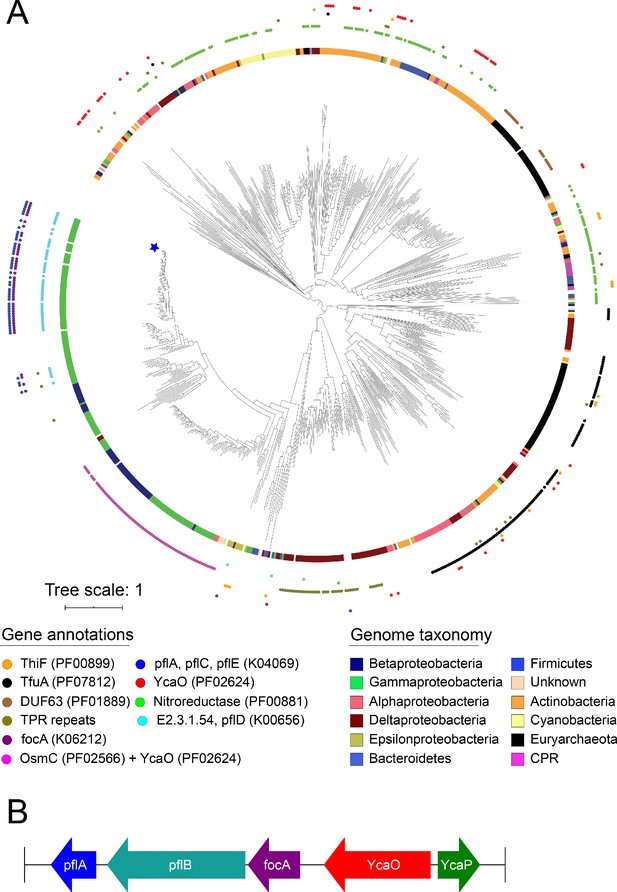 Figures and data in Structure of the bacterial ribosome at 2 Å ...