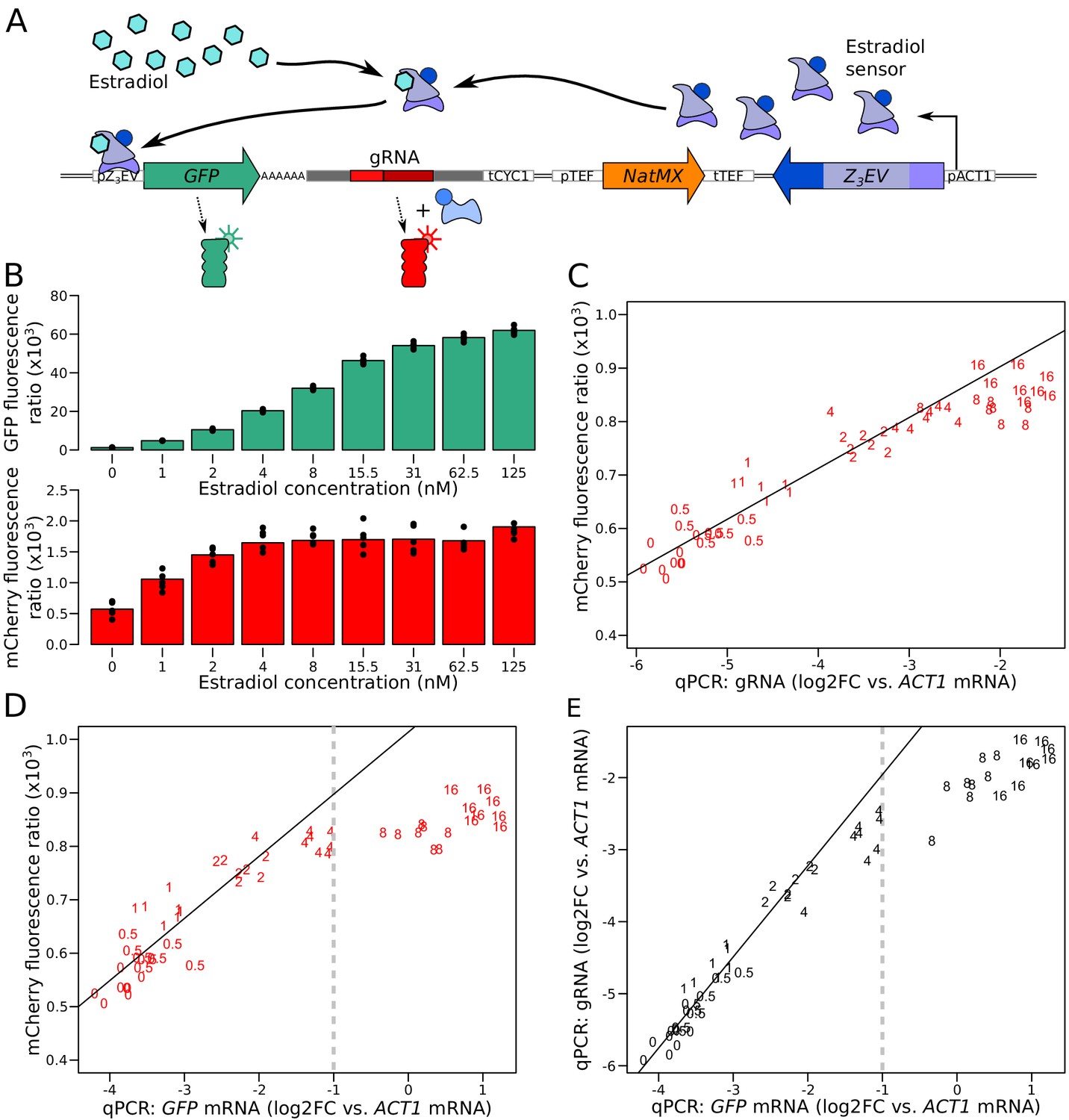 Simultaneous quantification of mRNA and protein in single cells ...