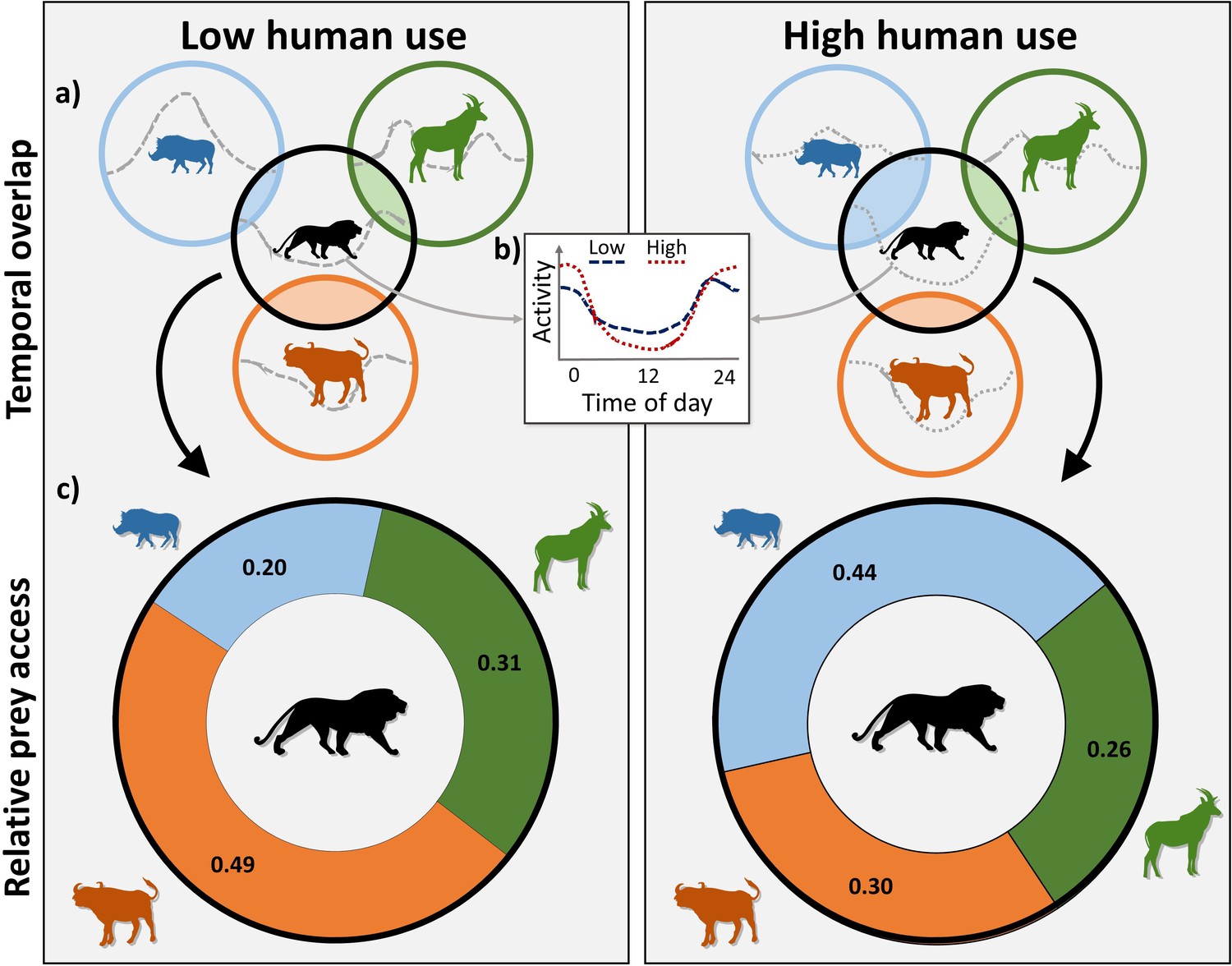 adaptive-herbivore-ecology-from-resources-to-populations-in