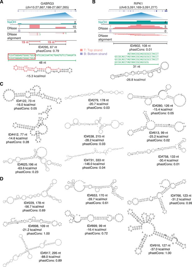 Figures and data in Identification of protein-protected mRNA fragments ...