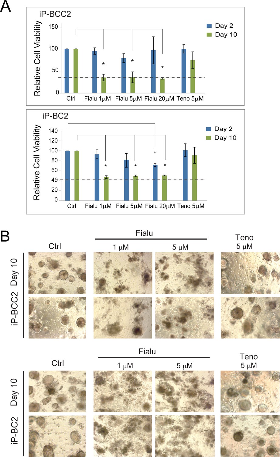 Figures And Data In Application Of Human Liver Organoids As A Patient