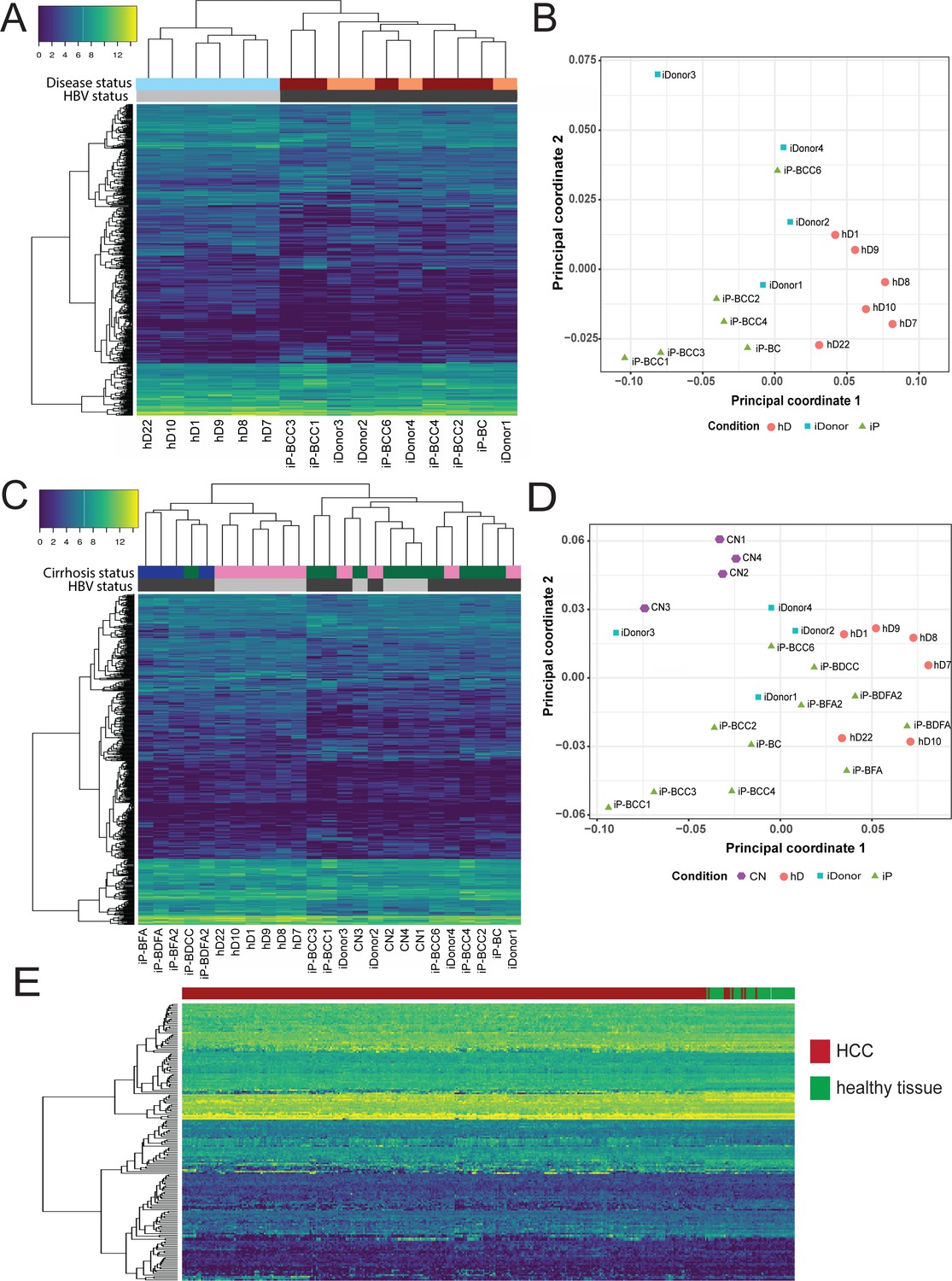 Application of human liver organoids as a patient-derived primary 