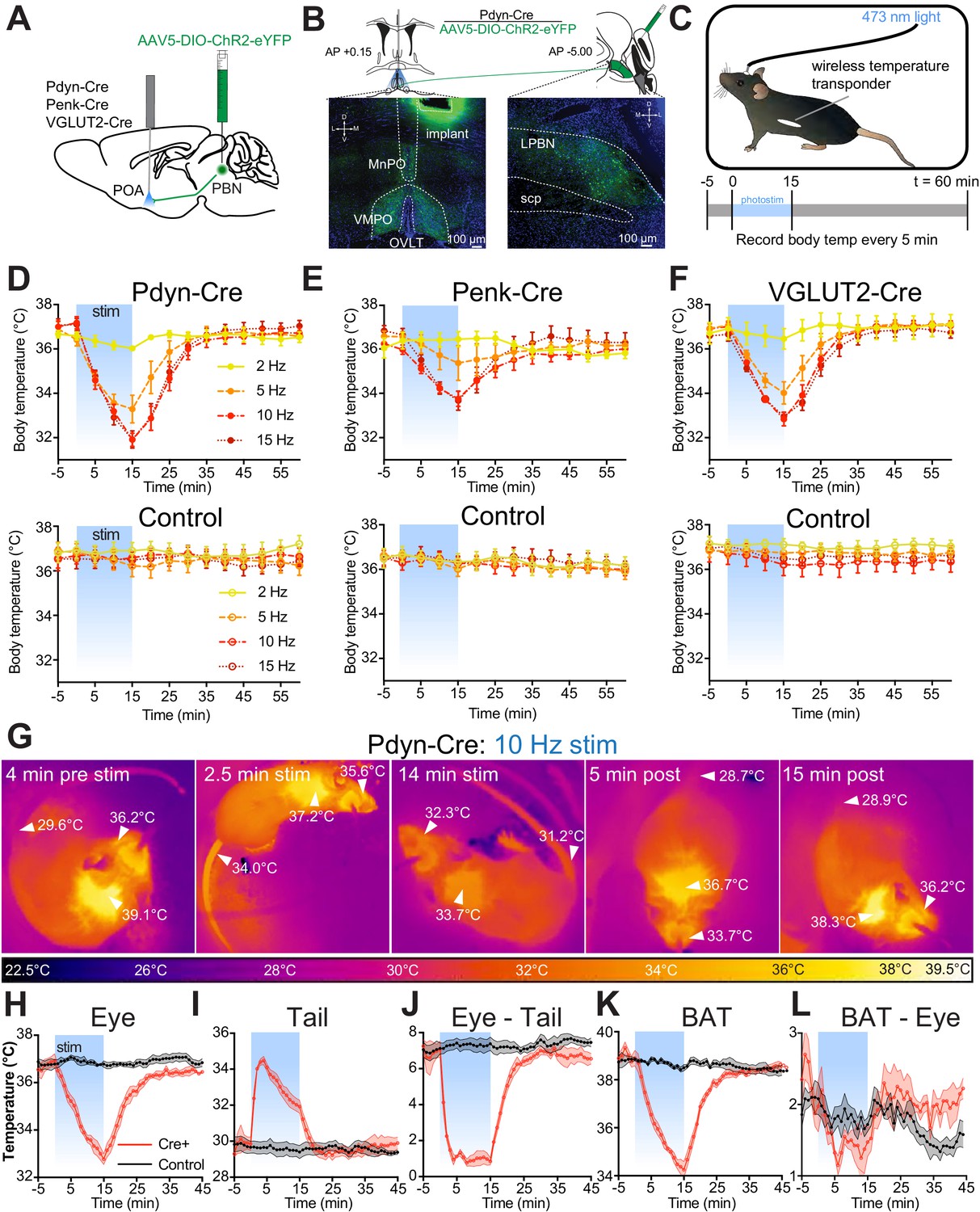 A parabrachial to hypothalamic pathway mediates defensive behavior