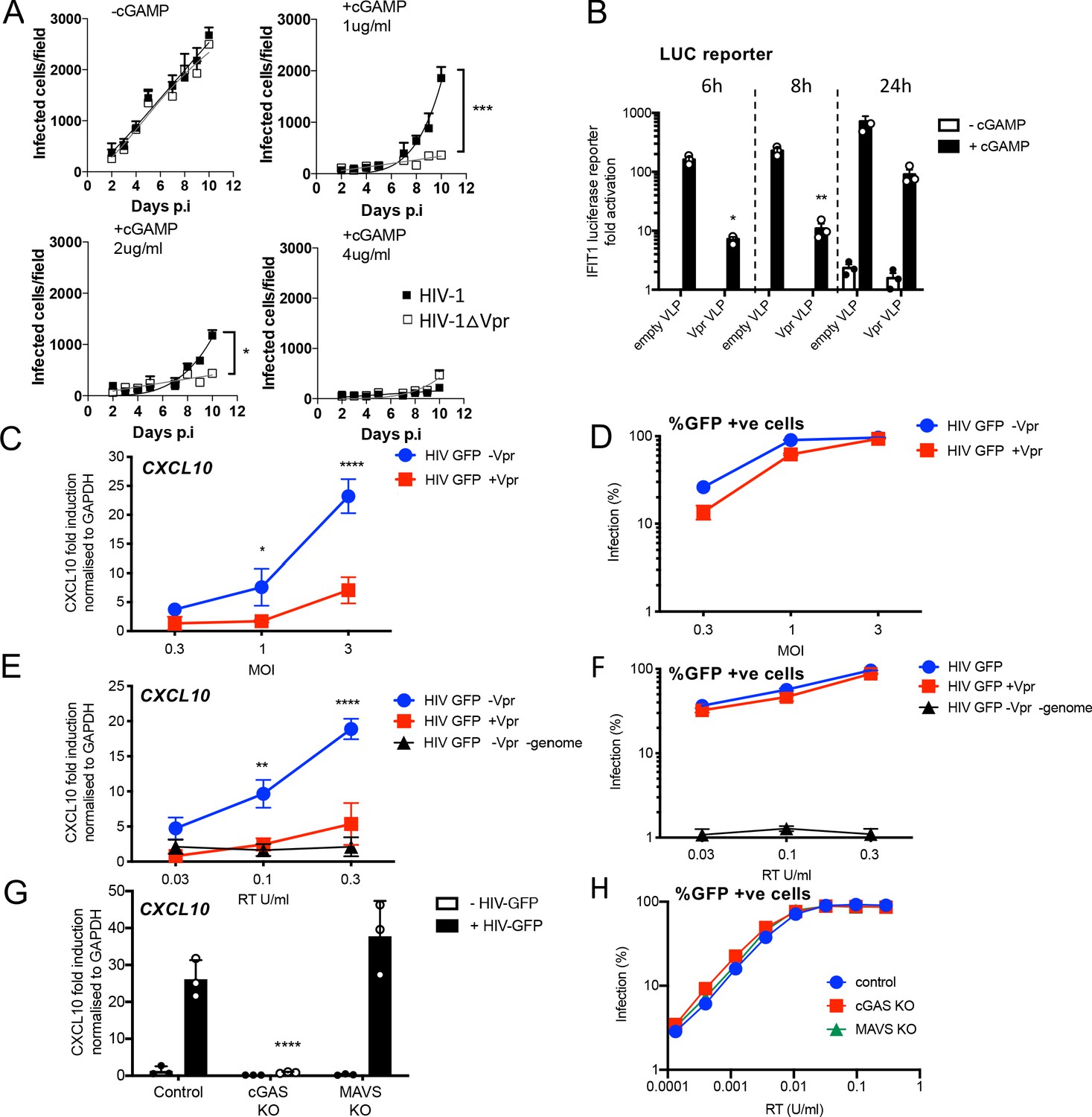 A better understanding of how HIV-1 evades the immune system