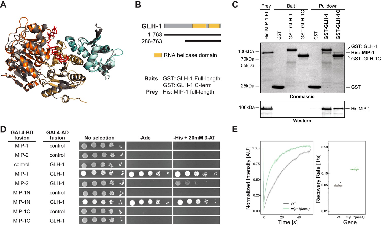 Figures And Data In Novel Lotus-domain Proteins Are Organizational Hubs 