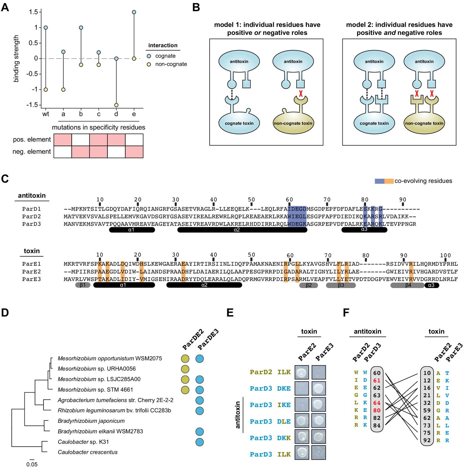 Uncovering The Basis Of Protein-protein Interaction Specificity With A ...