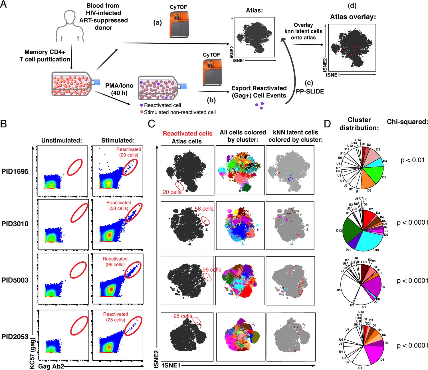 Phenotypic analysis of the unstimulated in vivo HIV CD4 T