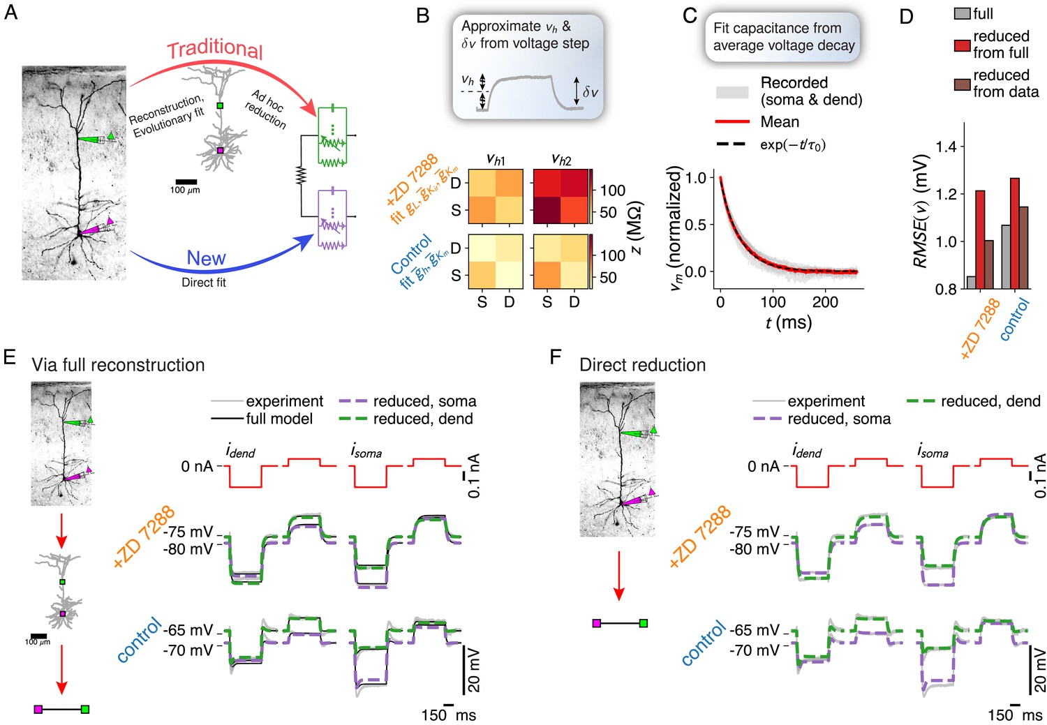 Data-driven reduction of dendritic morphologies with preserved dendro ...