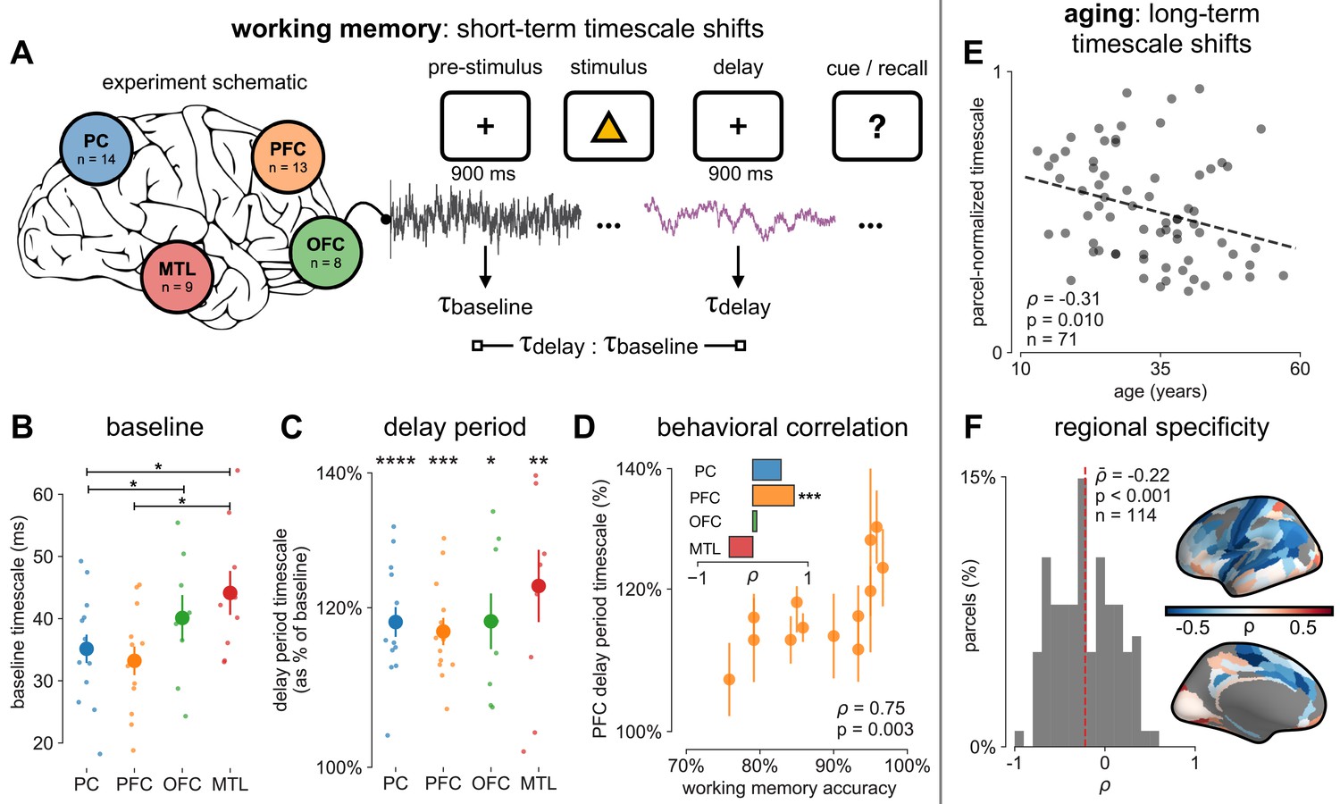 Neuronal Timescales Are Functionally Dynamic And Shaped By Cortical ...