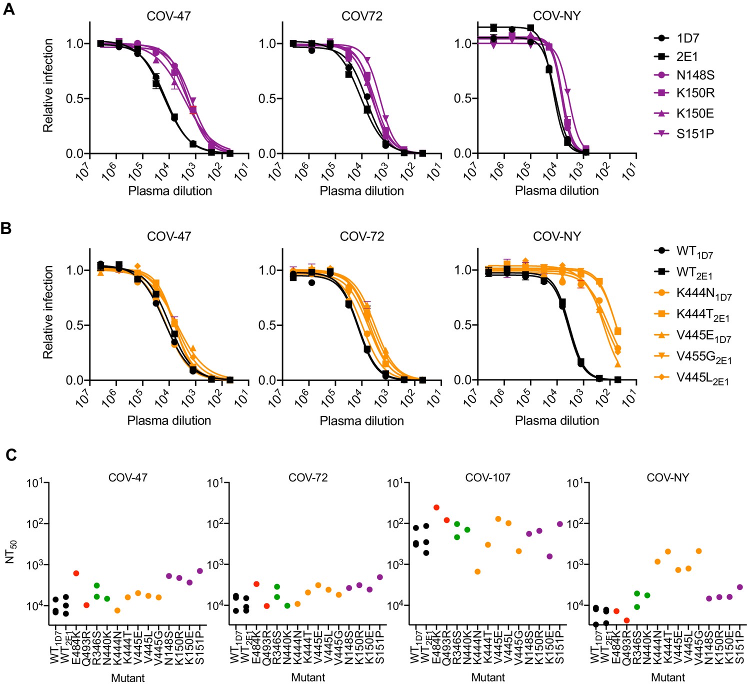 Escape From Neutralizing Antibodies By Sars Cov 2 Spike Protein Variants Elife