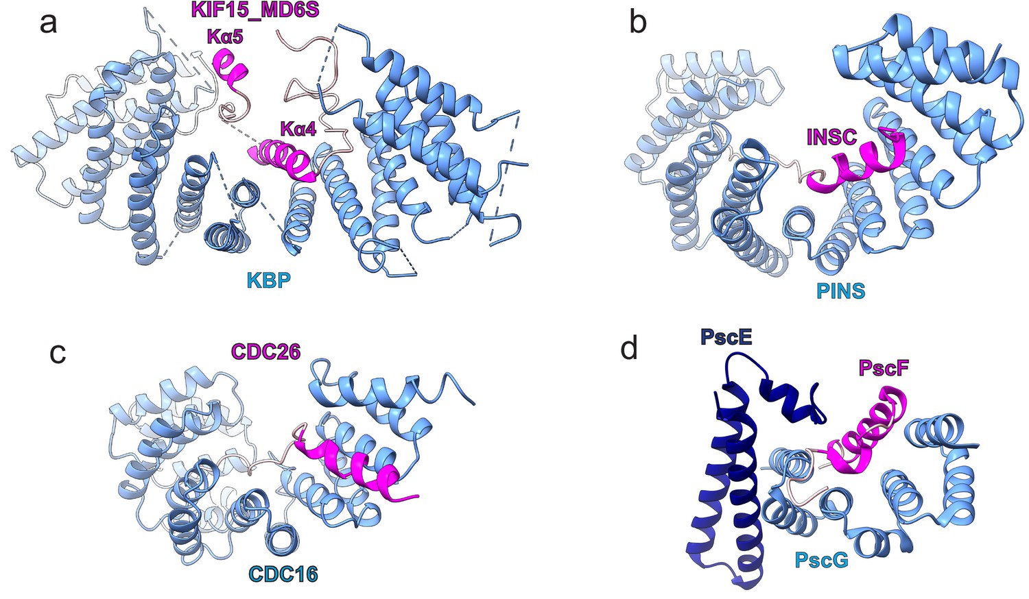 Figures And Data In The Mechanism Of Kinesin Inhibition By Kinesin ...