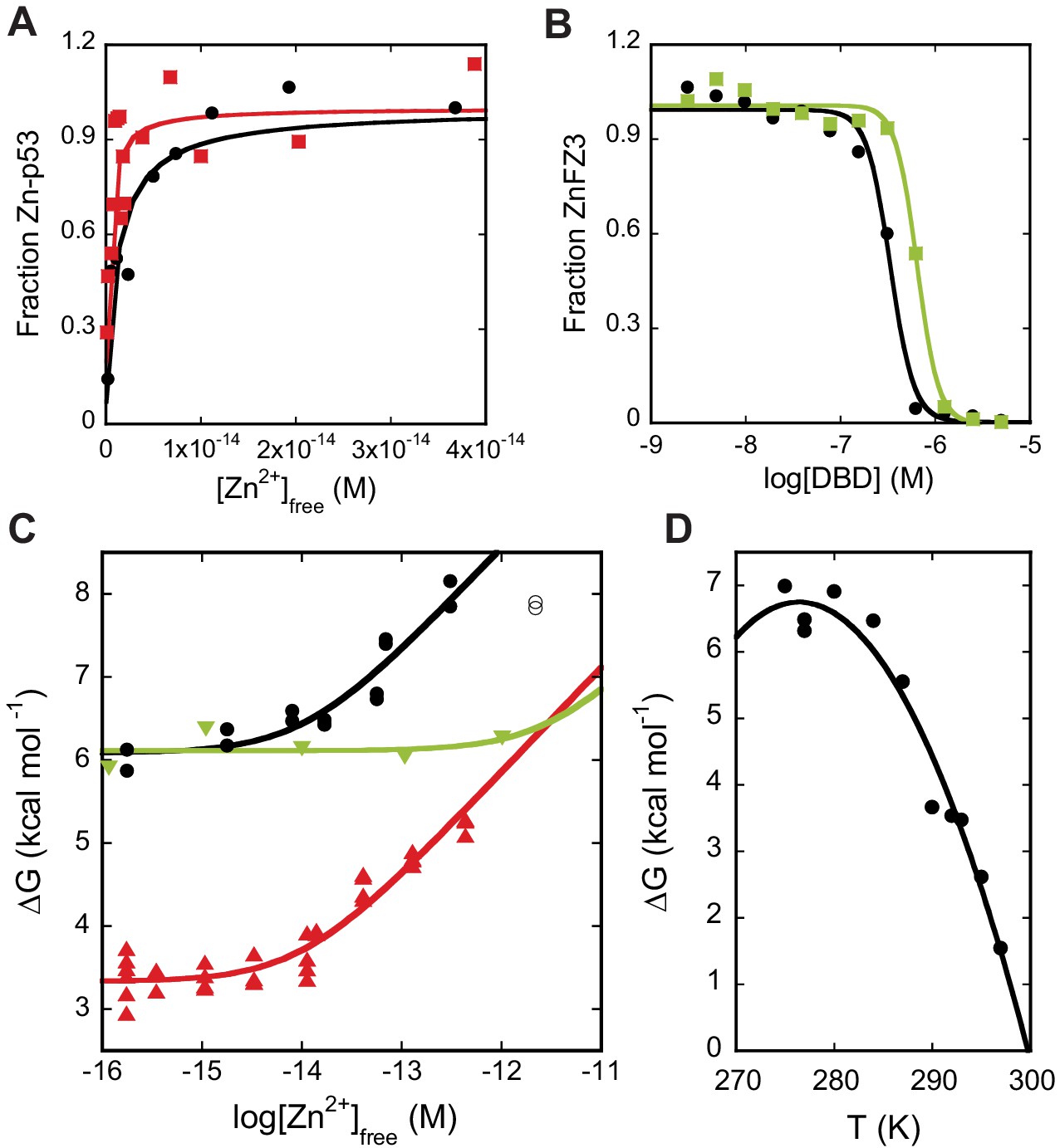 Zinc shapes the folding landscape of p53 and establishes a