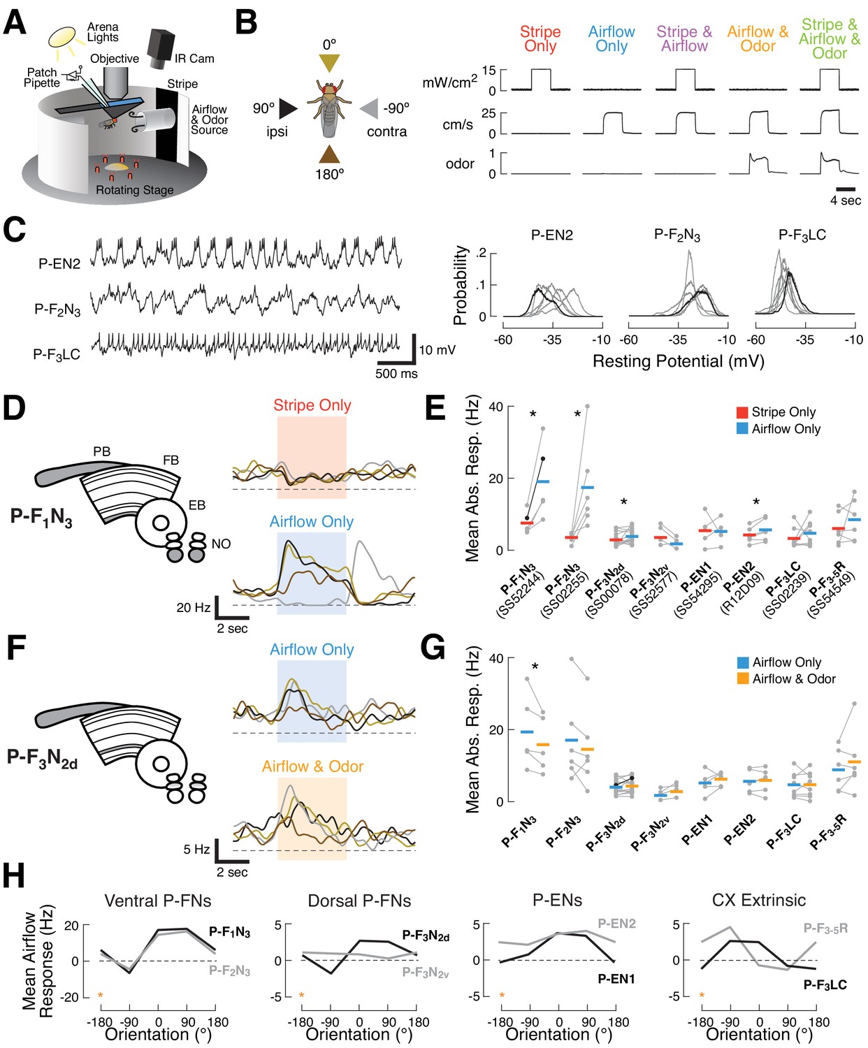 Figures and data in Encoding and control of orientation to airflow