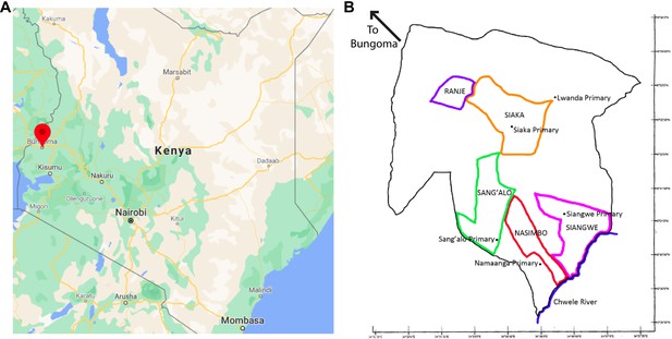 Figures and data in Molecular evidence of hybridization between pig and ...