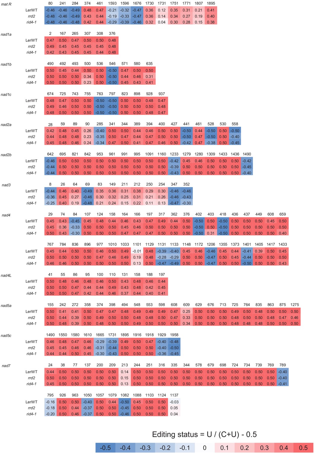 Figures and data in Temperature-dependent fasciation mutants provide a ...