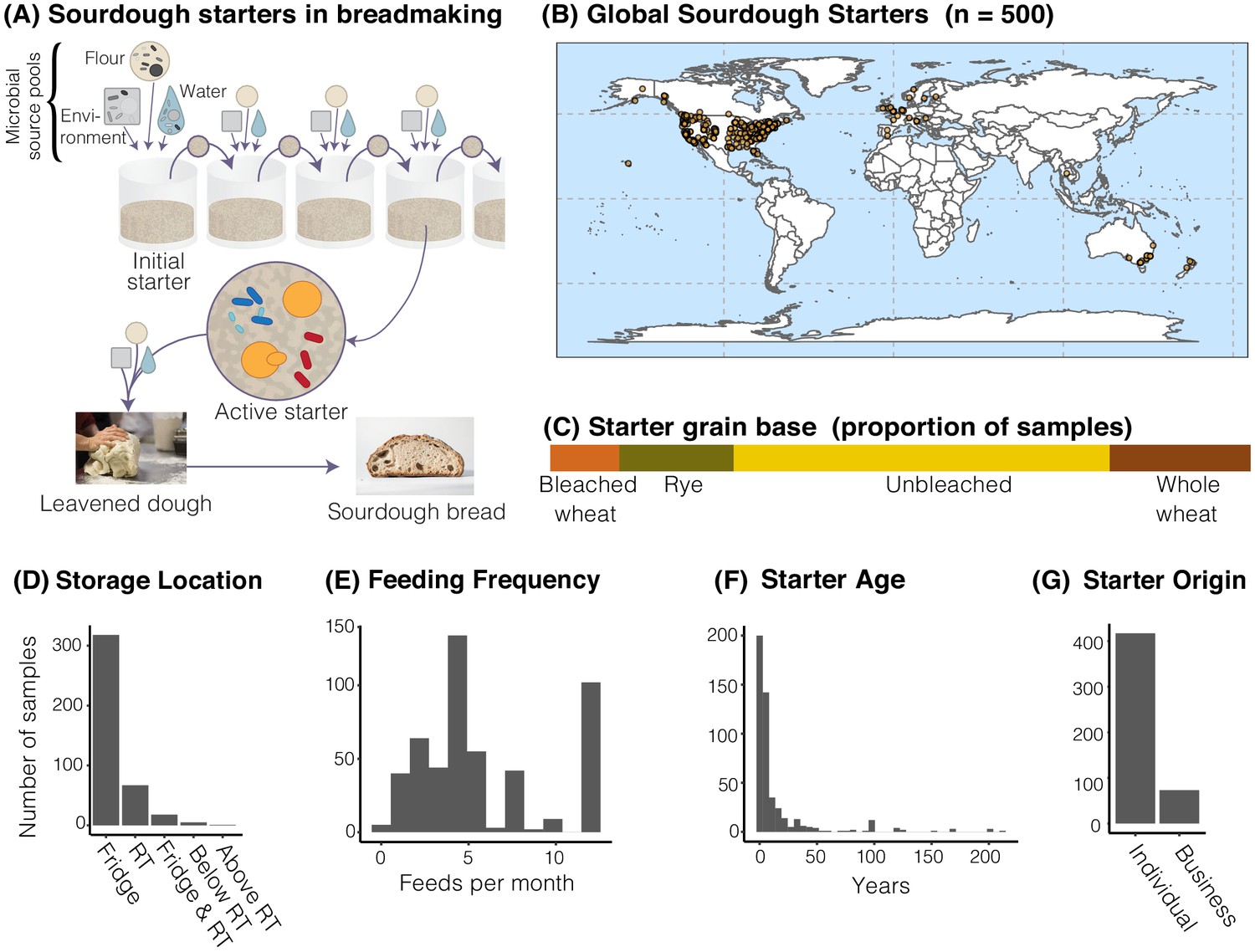 The Diversity And Function Of Sourdough Starter Microbiomes Elife