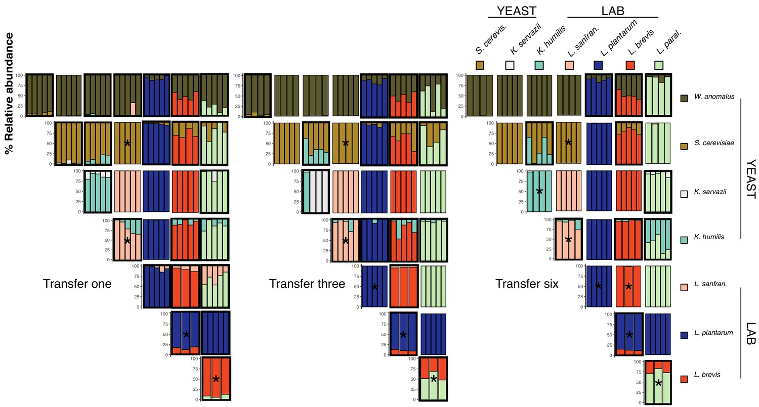 The Diversity And Function Of Sourdough Starter Microbiomes Elife