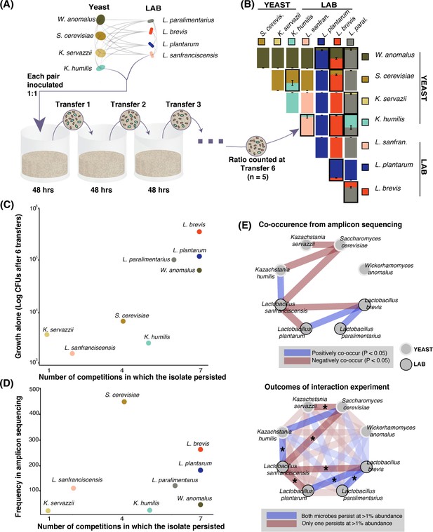 Figures And Data In The Diversity And Function Of Sourdough Starter ...