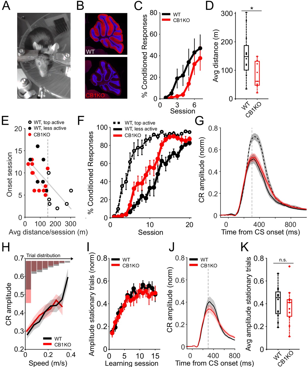 Cannabinoids modulate associative cerebellar learning via 